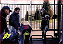 magny-cours 8